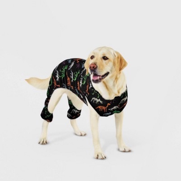 Target Dog Target Hyde Eek Halloween Dino Matching Family Sleep Dog